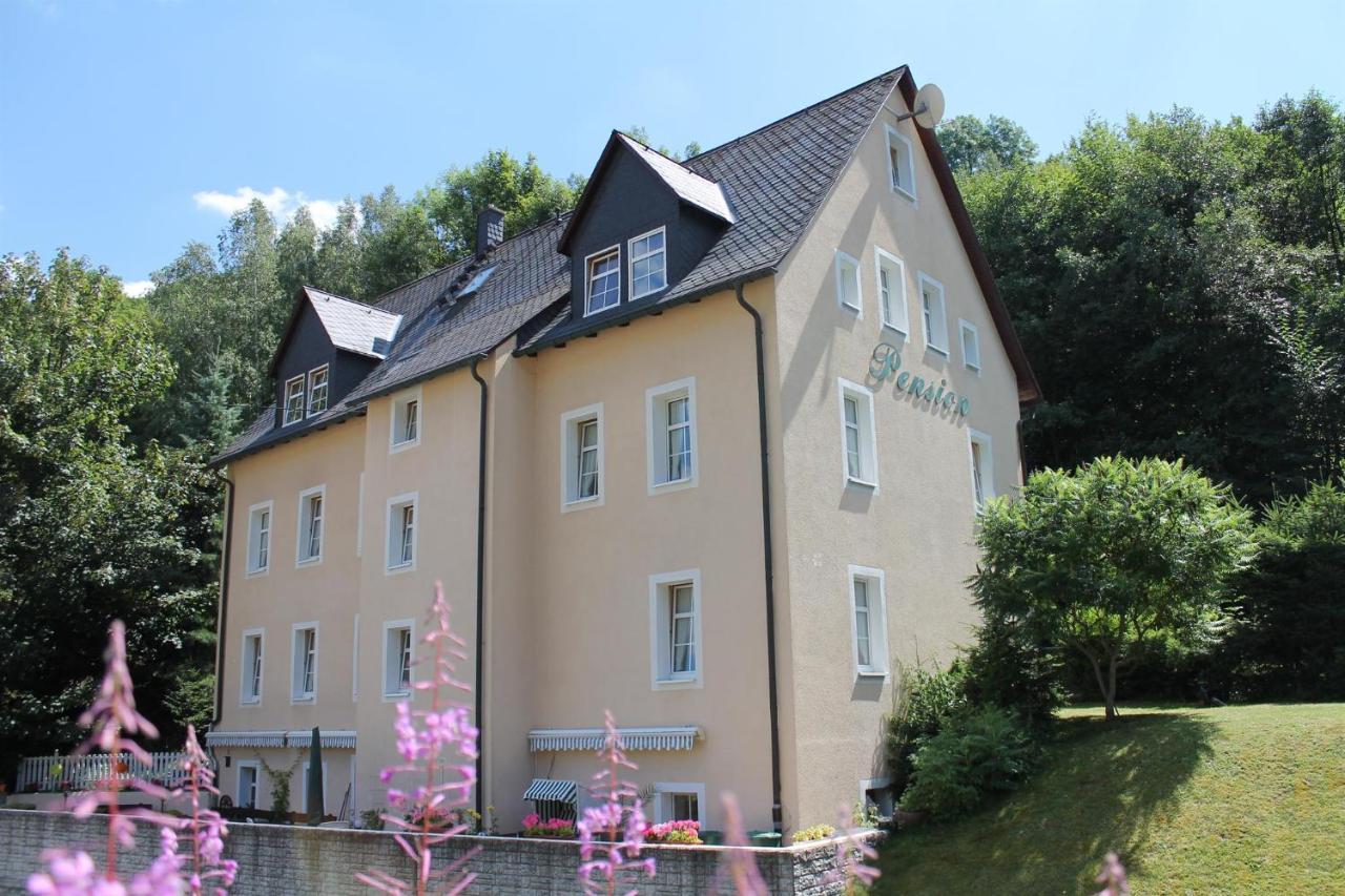 Appartements Im "Landhaus Am Frohnauer Hammer" Annaberg-Buchholz Zewnętrze zdjęcie