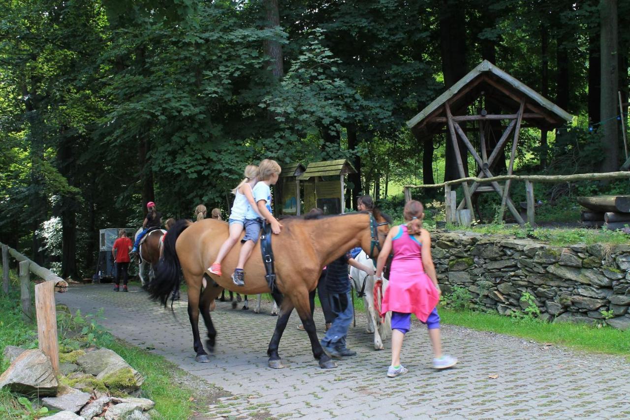 Appartements Im "Landhaus Am Frohnauer Hammer" Annaberg-Buchholz Zewnętrze zdjęcie