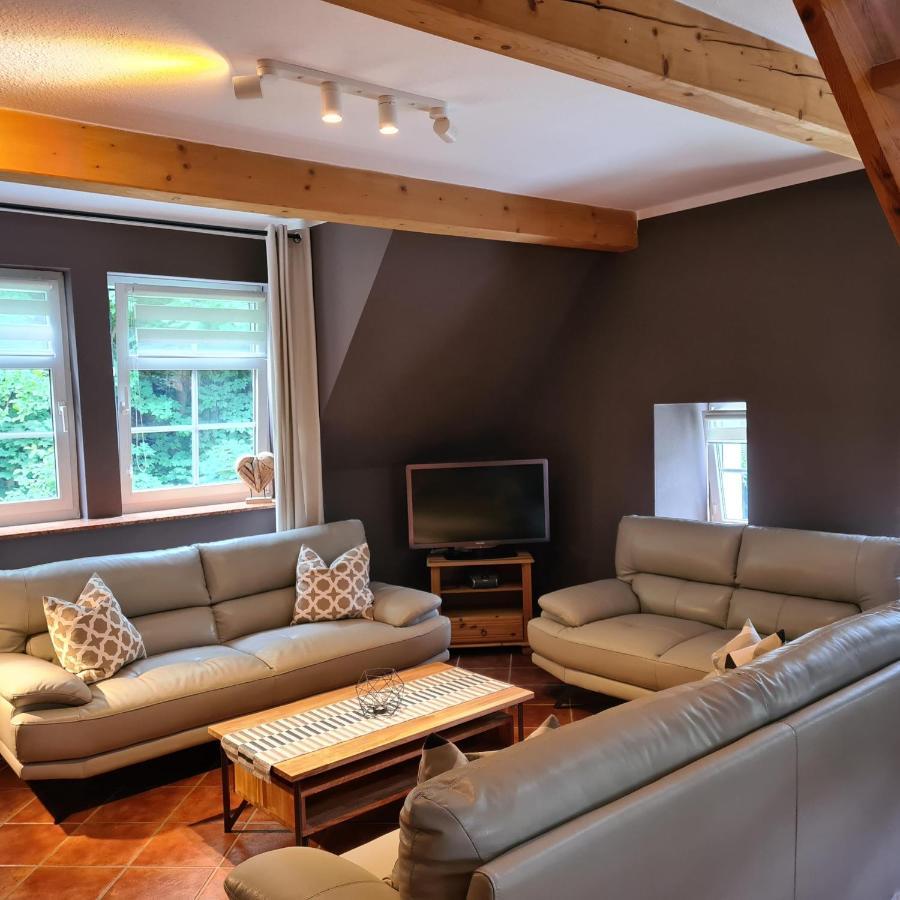 Appartements Im "Landhaus Am Frohnauer Hammer" Annaberg-Buchholz Zewnętrze zdjęcie